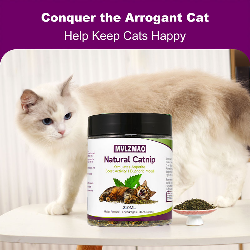 Katzenspielzeug – Silvervine-K – Herbal Wellness Products Bewertung und Preis